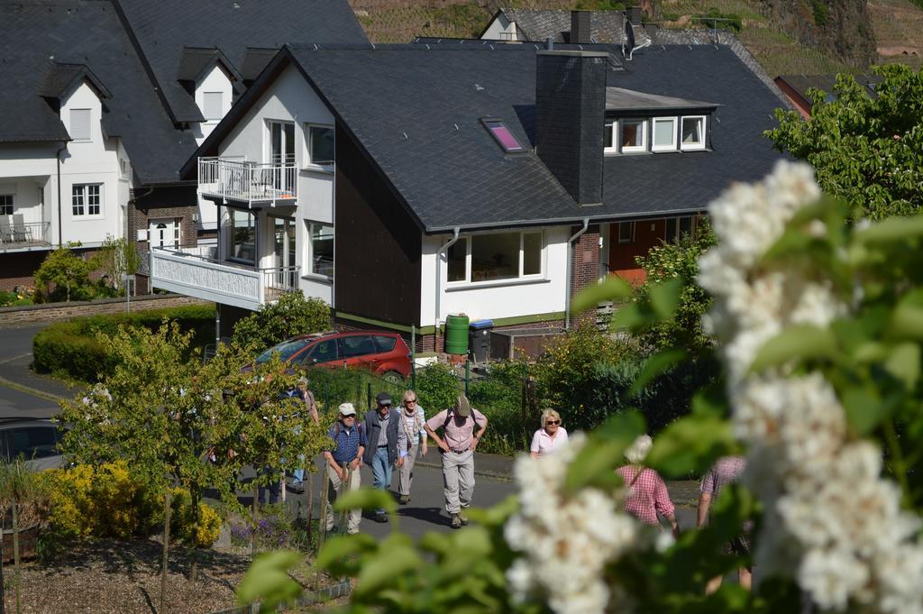 Апартаменты Weingut Im Moselkrampen Элленц-Польтерсдорф Экстерьер фото